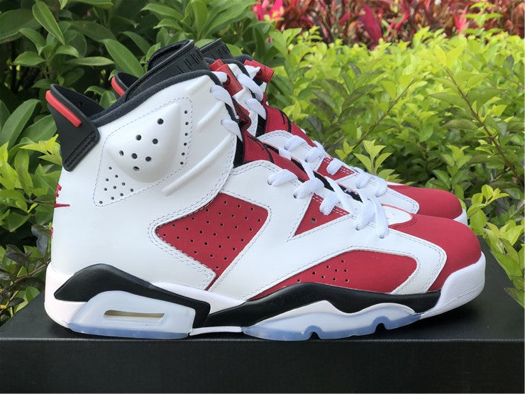 Air Jordan 6