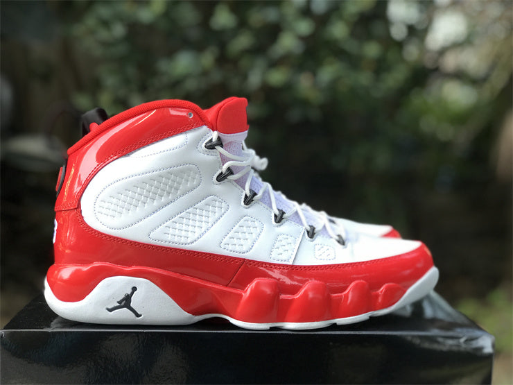 Air Jordan 9